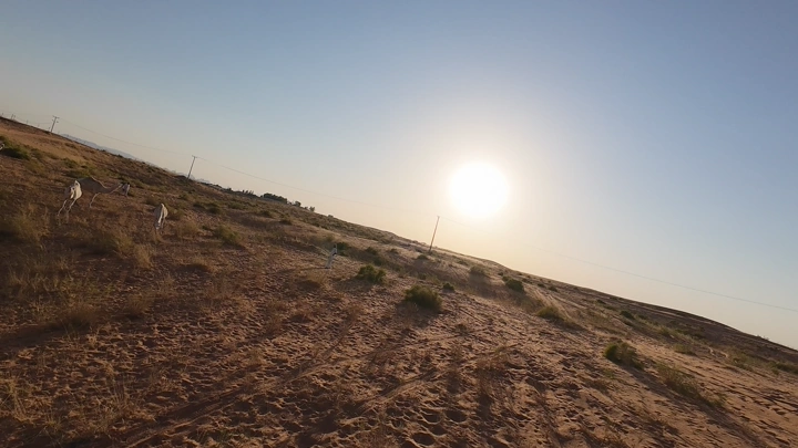 جمال في صحراء النفود عند الغروب، لقطة جوية.