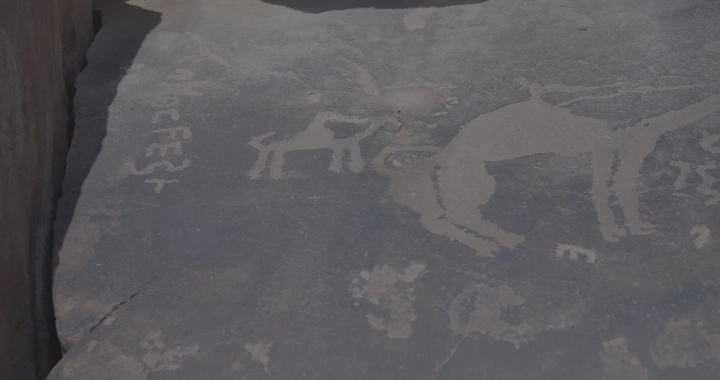 نقوش ثمودية على صخرة في جبة حائل، لقطة قريبة.