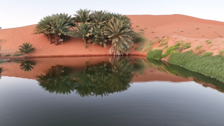بحيرة برودان مع نخيل وكثبان رملية، لقطة نهارية.