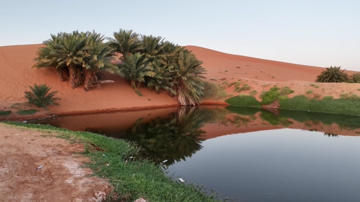 بحيرة برودان مع نخيل وكثبان رملية، تصوير طبيعي.
