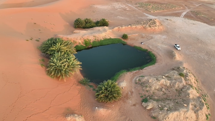 بحيرة صغيرة محاطة بالنخيل في الصحراء، لقطة جوية.