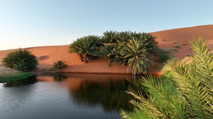 بحيرة محاطة بأشجار النخيل والكثبان الرملية، تصوير طبيعي.