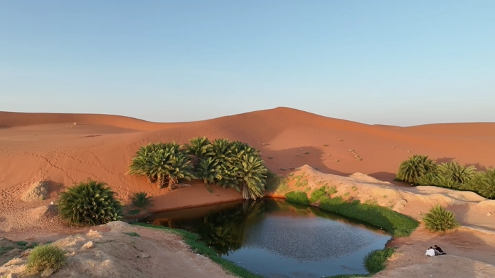 بحيرة صغيرة في الصحراء بالقرب من القصب، صورة جوية.