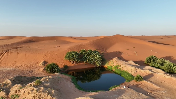 بحيرة برودان بالقرب الرياض محاطة بالنخيل في صحراء برودان، لقطة جوية.