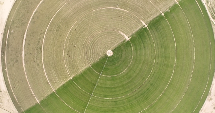 حقل دائري أخضر في منطقة زراعية، صورة جوية.