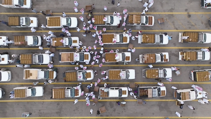 سيارات محملة بالتمور في مهرجان القصيم، لقطة جوية.