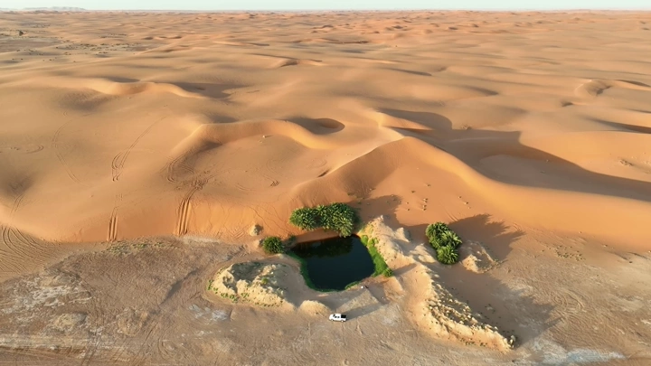 بحيرة صغيرة محاطة بأشجار في صحراء برودان الرياض، لقطة جوية.