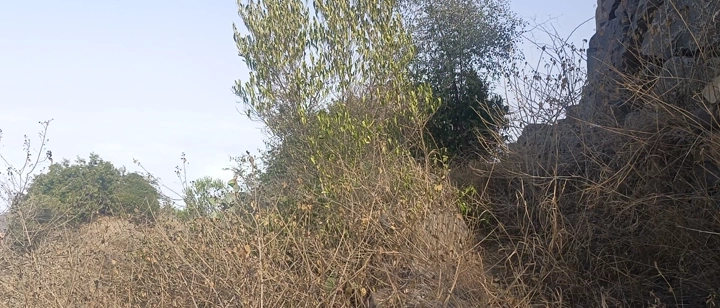 منظر طبيعي في فيفاء بجازان، تصوير نهاري.