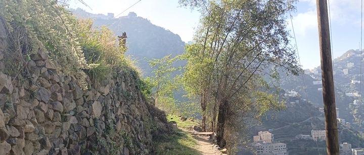 Mountain path in Fayfa, Jazan under sunlight, daytime shot.
