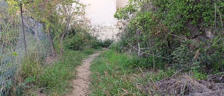 مسار ضيق بين الأشجار والنباتات في فيفاء، لقطة نهارية.