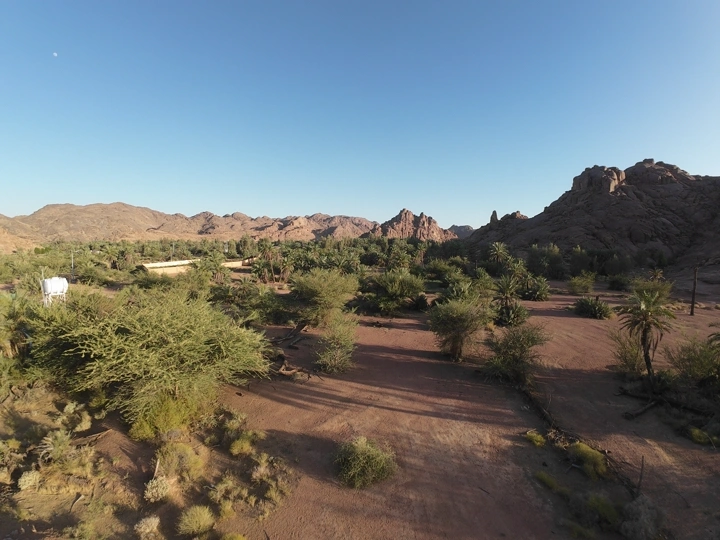 منظر جوي لنخيل وجبال أجا في حائل، لقطة جوية FPV.