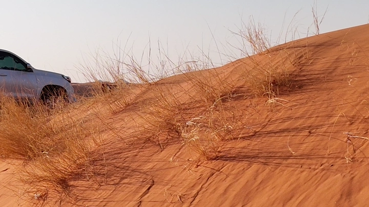 جلسة في النفود مع إطلالة على المزارع في حائل، لقطة نهارية.