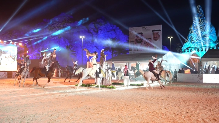 عرض خيول في الليل مع إضاءة ملونة، لقطة واسعة.